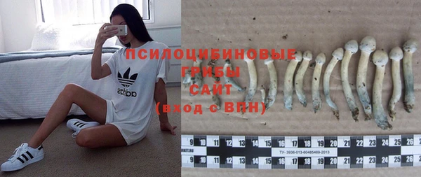 соль курить ск Бородино