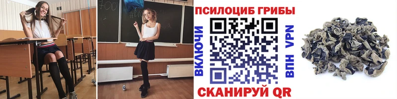 закладка  Туапсе  Псилоцибиновые грибы ЛСД 